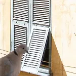 26 Vieux Apartment
